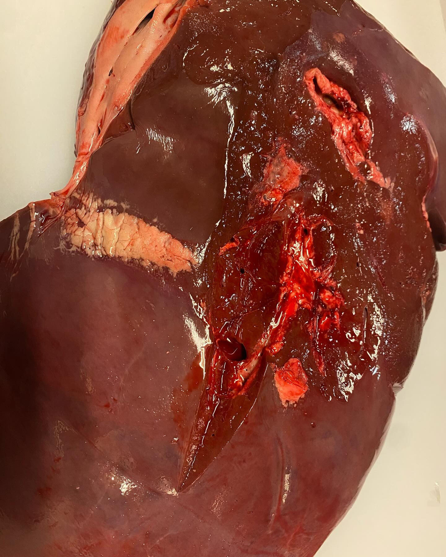 最近仕入れ先を変えてより良いものを用意できるようになったレバ...